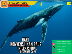 Hari Konvensi Ikan Paus: PT Sumatraco Langgeng Makmur Tekankan Pentingnya Keseimbangan Ekosistem Laut