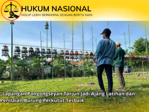 “Lapangan Pangongseyan Torjun Jadi Ajang Latihan dan Penilaian Burung Perkutut Terbaik”
