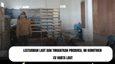 Lestarikan Laut dan Tingkatkan Produksi, Ini Komitmen CV Harta Laut