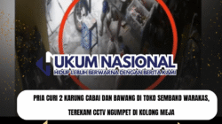 Pria Curi 2 Karung Cabai dan Bawang di Toko Sembako Warakas, Terekam CCTV Ngumpet di Kolong Meja