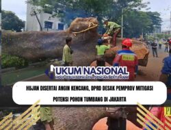 Hujan Disertai Angin Kencang, DPRD Desak Pemprov Mitigasi Potensi Pohon Tumbang di Jakarta