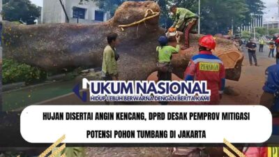 Hujan Disertai Angin Kencang, DPRD Desak Pemprov Mitigasi Potensi Pohon Tumbang di Jakarta