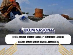 Kelola Ratusan Hektare Tambak, PT.Sumatraco Langgeng Makmur Bangun Garam Nasional Berkualitas