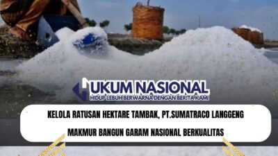 Kelola Ratusan Hektare Tambak, PT.Sumatraco Langgeng Makmur Bangun Garam Nasional Berkualitas
