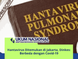 Hantavirus Ditemukan di Jakarta, Dinkes: Berbeda dengan Covid-19