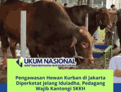 Pengawasan Hewan Kurban di Jakarta Diperketat Jelang Iduladha, Pedagang Wajib Kantongi SKKH