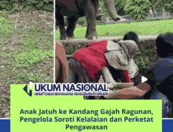 Anak Jatuh ke Kandang Gajah Ragunan, Pengelola Soroti Kelalaian dan Perketat Pengawasan