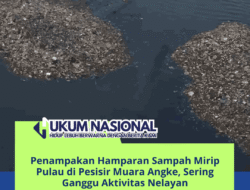 Penampakan Hamparan Sampah Mirip Pulau di Pesisir Muara Angke, Sering Ganggu Aktivitas Nelayan