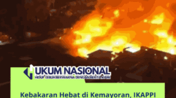 Kebakaran Hebat di Kemayoran, IKAPPI Soroti Lemahnya Pengawasan di Kawasan Padat Penduduk