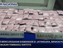 5 Pemuda Mencurigakan Diamankan di Jatinegara, Brimob Polda Metro Temukan Tembakau Sintetis