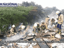Dalam Sehari, 3 Kasus Kebakaran Pada Lahan Terbuka Terjadi di Jakarta Timur
